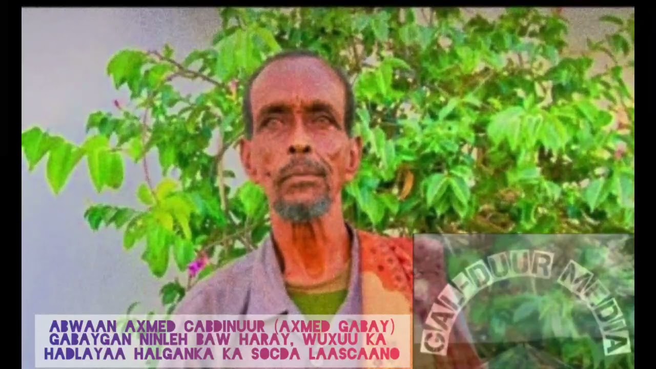 abwaan axmed gabay cabdinuur gabay ka hadlaya dagaalka ka socda gobolka sool
