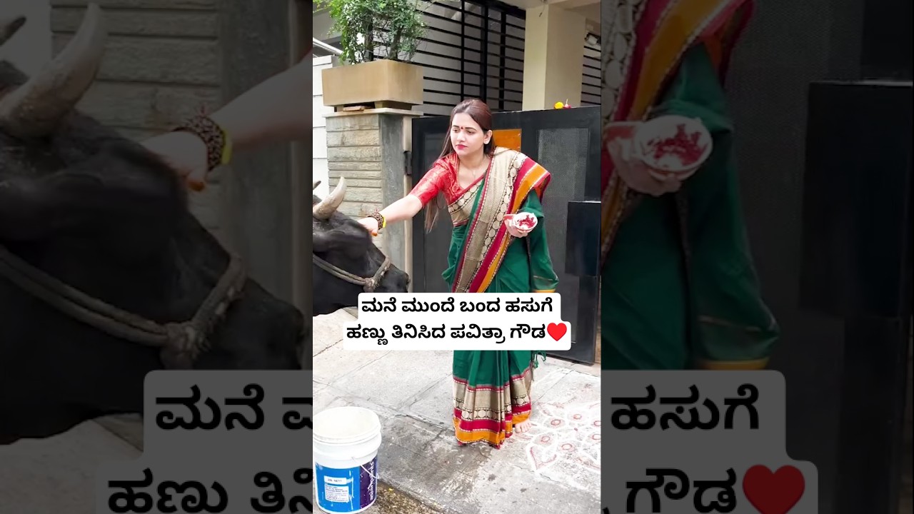 ಮನೆ ಮುಂದೆ ಬಂದ ಹಸುಗೆ ಹಣ್ಣು ತಿನಿಸಿದ ಪವಿತ್ರಾ ಗೌಡ ♥️ | Pavithra Gowda Videos | Pavithra Gowda Family