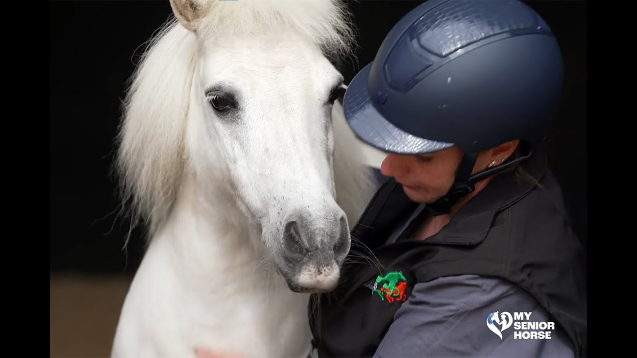 Meet Snow White: A Senior Shetland Pony