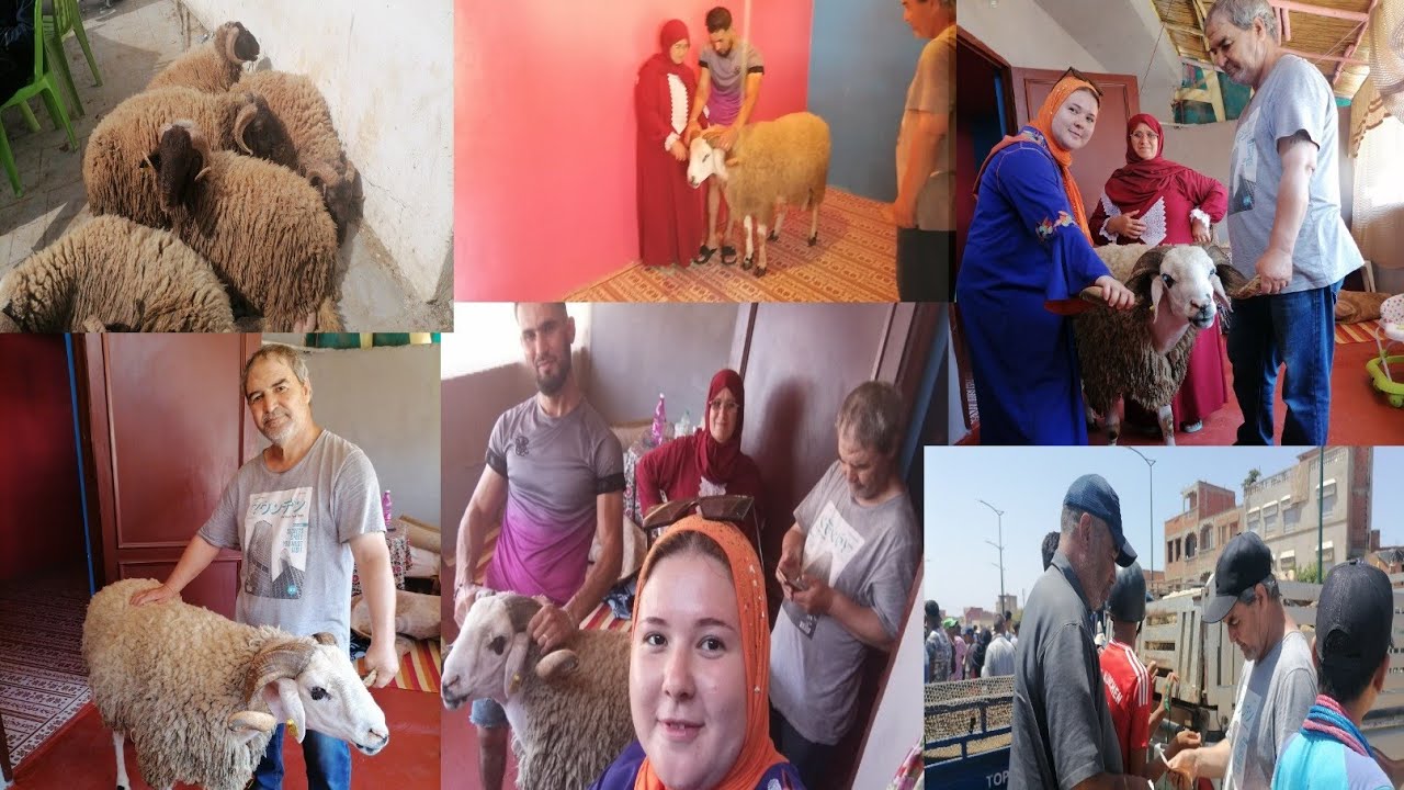 أجواء سوق حواله 🐏عيدالأضحى في القصر الكبير 😍ماما شرات مليح بصحتها❤️