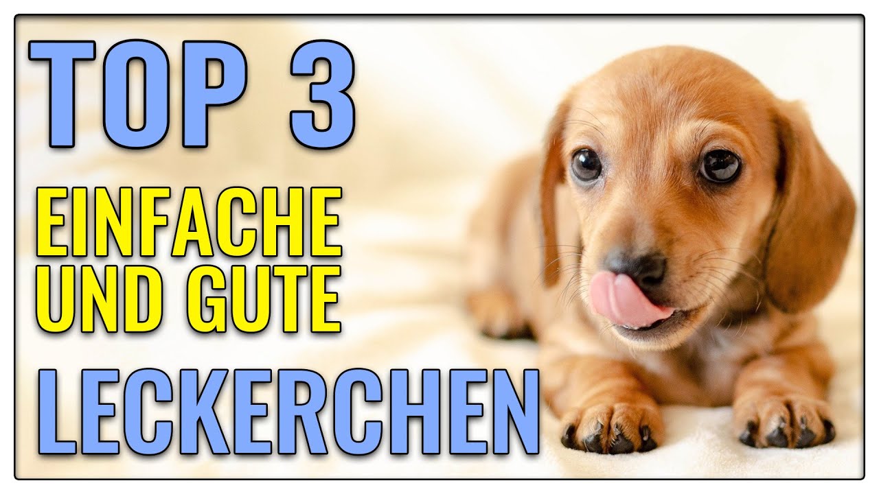 3 gute Leckerchen - Darauf stehen alle Hunde - TGH 394