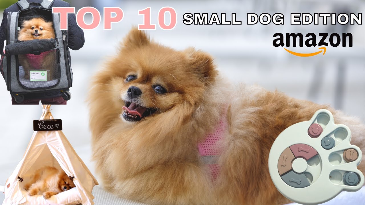 ТОП-10 товаров для собак Amazon Small Dog Edition | Лучшие товары для собак: необходимые и любимы...