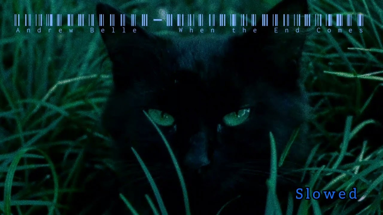 Andrew Belle - When the End Comes | slowed