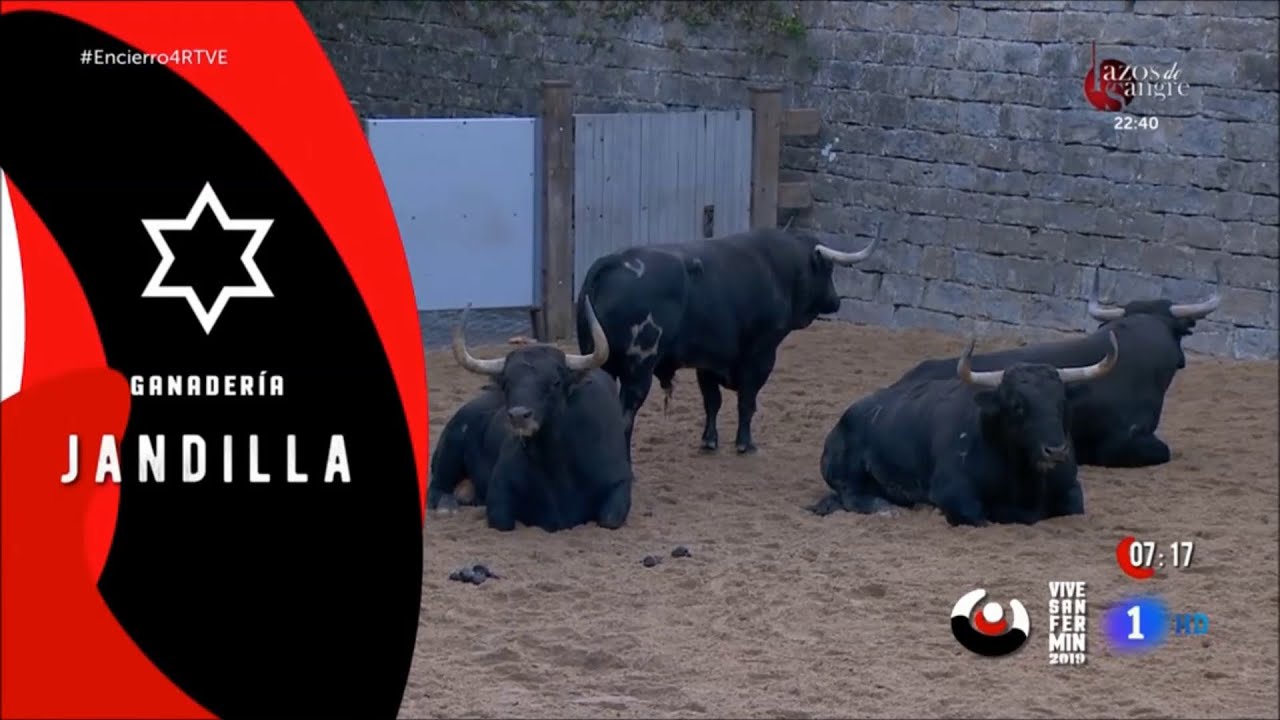 Los Toros de los Encierros de San Fermín 2019