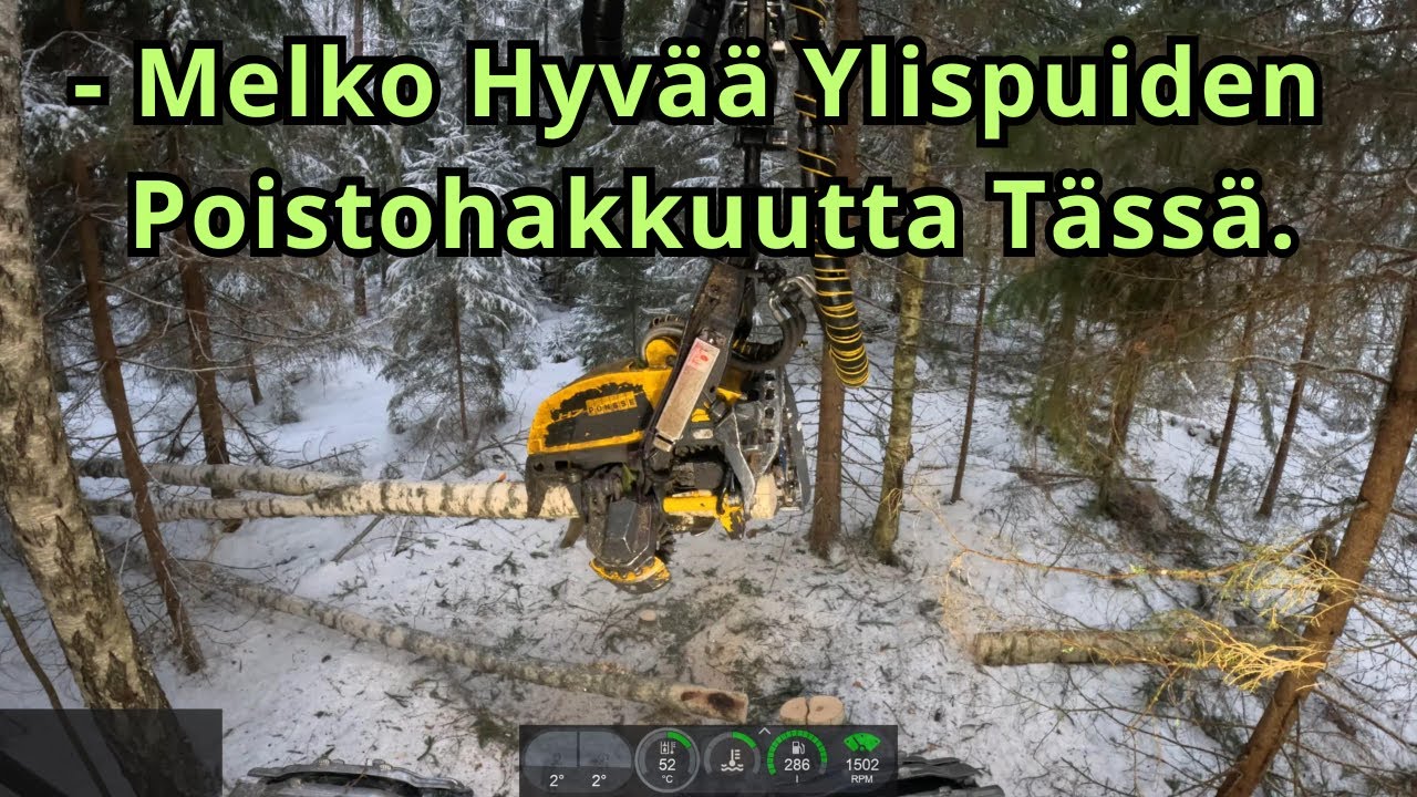Ylispuiden Poistohakkuulla Alkoi Tämä Viikko 12 2025 Vuotta. Ponsse Scorpion K H7 AC FC