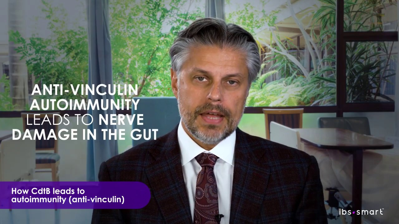 How Cdtb Leads to Autoimmunity (Anti-Vinculin)