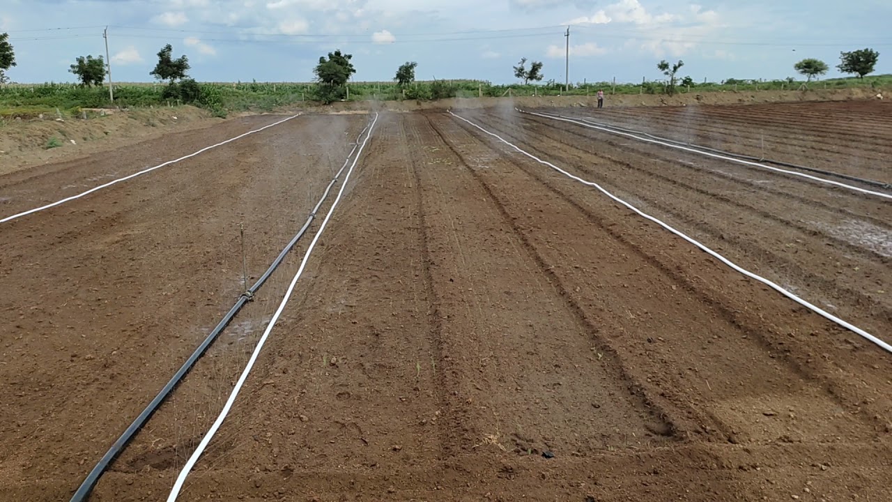 best rain pipe price | rain pipe | hdpe | rain irrigation system | vk rainpipe | ಮಳೆ ಪದತಿ | रेन पाइप