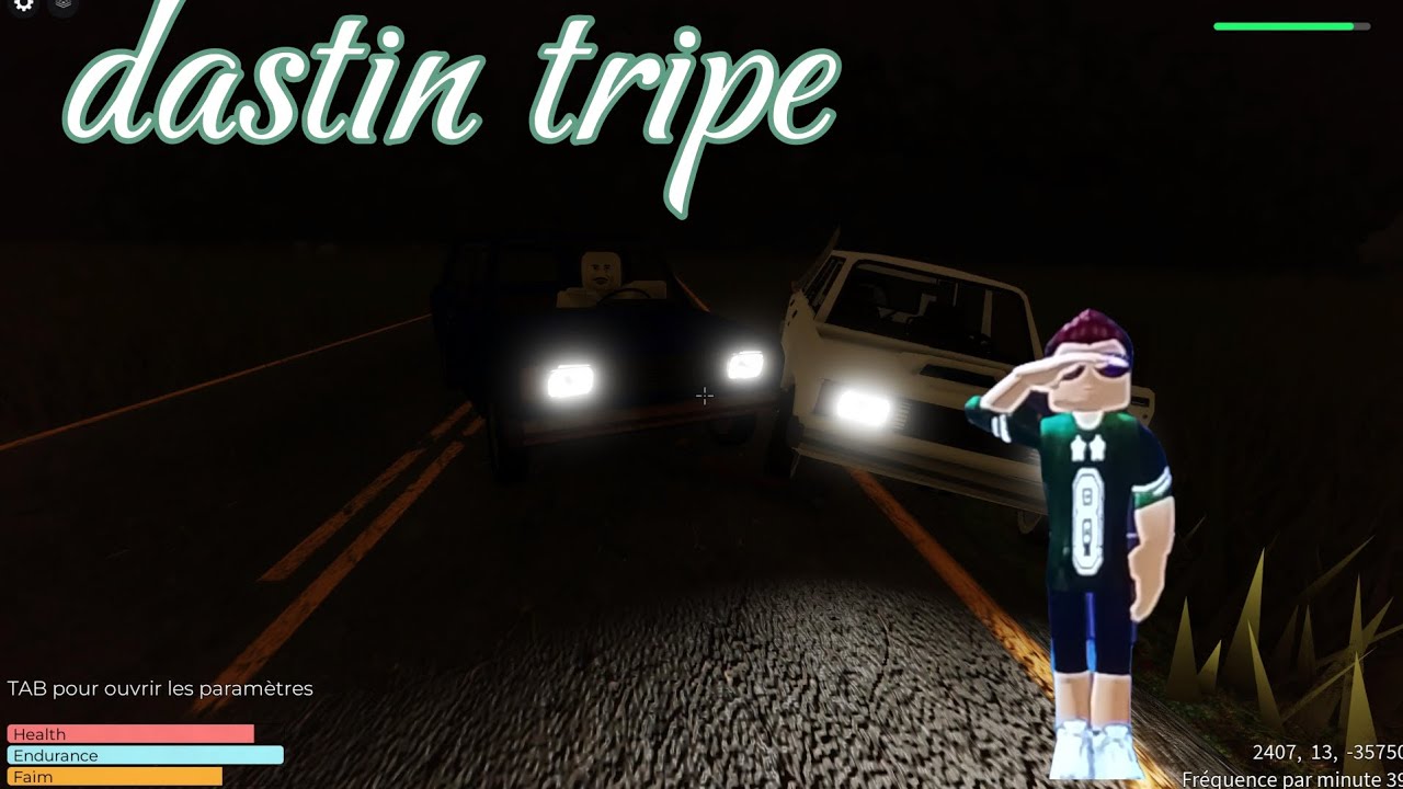 Dastin tripe (un voyage possible)