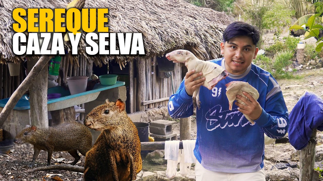 Cazando SEREQUE comida EXOTICA en PUEBLOS MAYAS