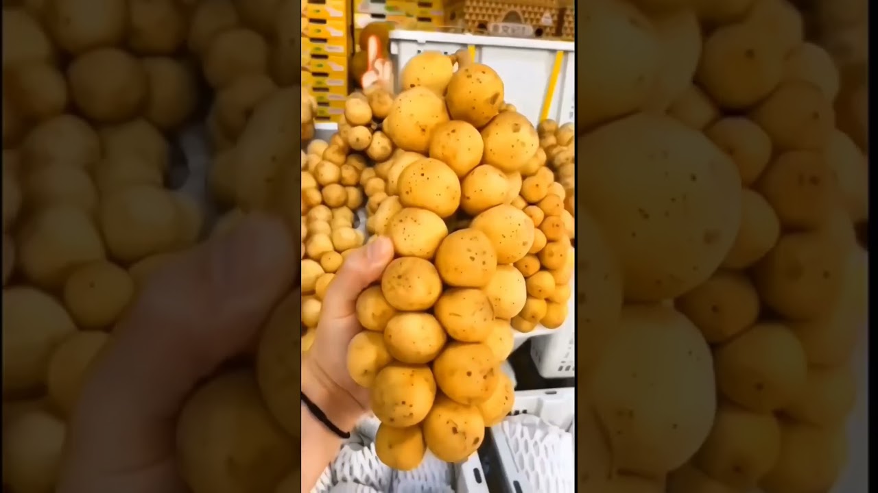 Duku or langsat fruit#shorts #fruit