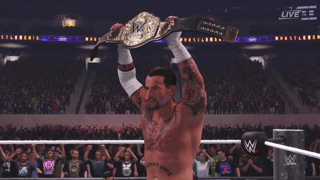 Roman Reigns vs Cm Punk