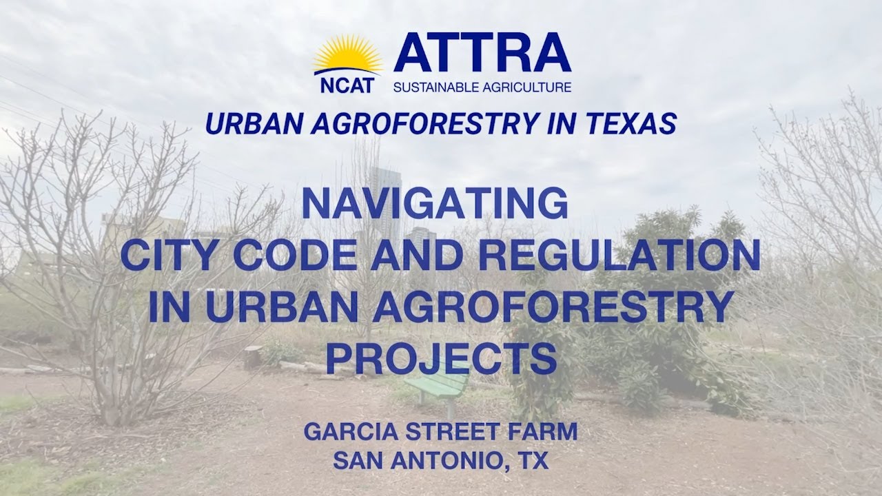 Navigating City Code and Regulation in Urban Agroforestry Projects