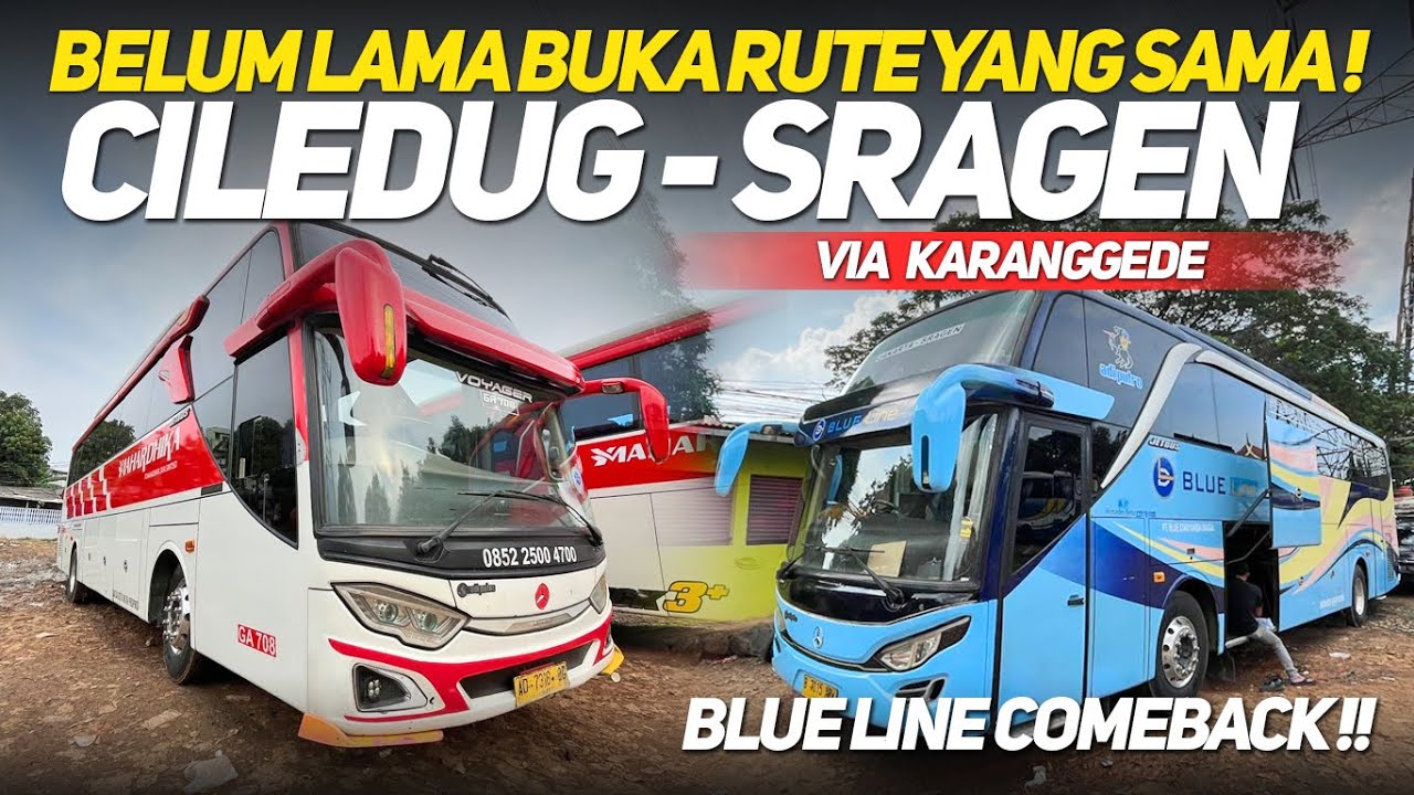 BUS BLUE LINE COMEBACK AKAP‼️KEMBALI BUKA RUTE CILEDUG-SRAGEN‼️ADA TRONTON VOLVO ROLLING MASUK KREO