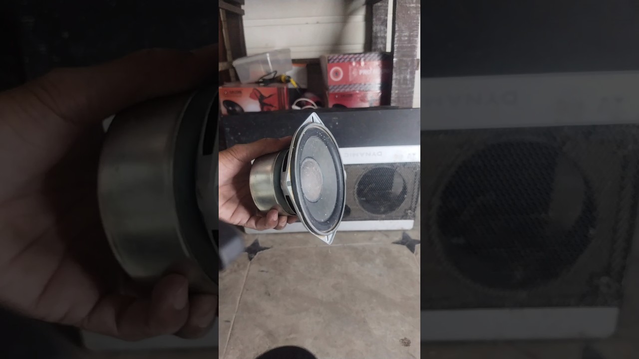 Bess Tube woofer | 20 Years Old Bess Tube woofer