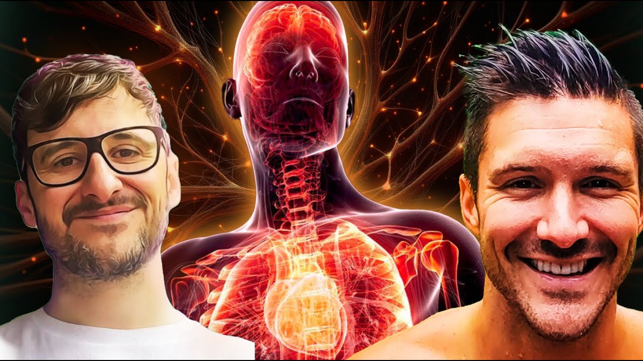 Inflammation is DESTROYING your body | Longevity lifestyle with Andrew Panella