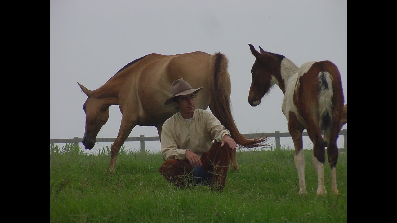 Live Cavalo Nota 10 edi&ccedil;&atilde;o 23 (2023)