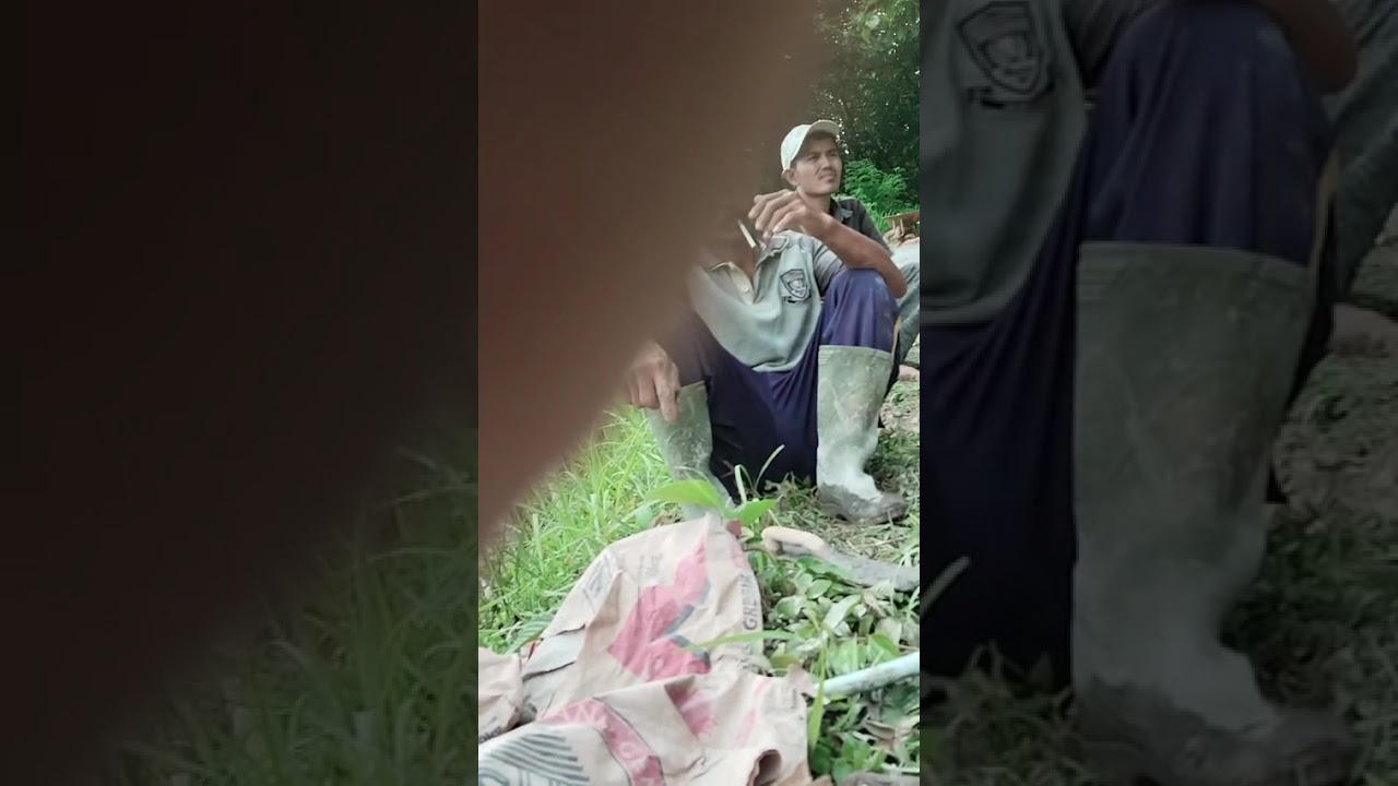 Jalan desa belu uren sumbang masarakat