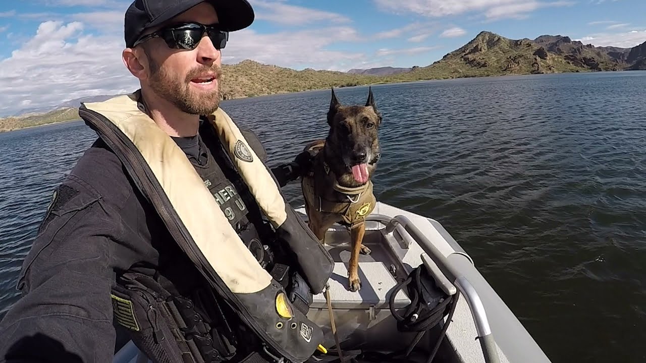 K9 Unit- Virtual Ride-Along