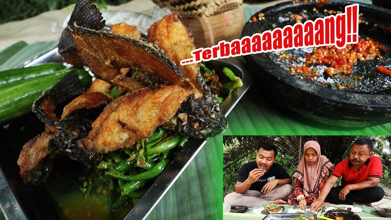 NILA TERBANG DAN JUKUT BEJEK KACANG PANJANG!!