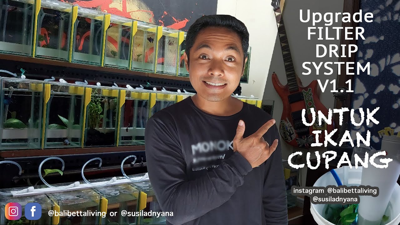 Filter drip system v1.1 untuk ikan cupang (UPGRADE)