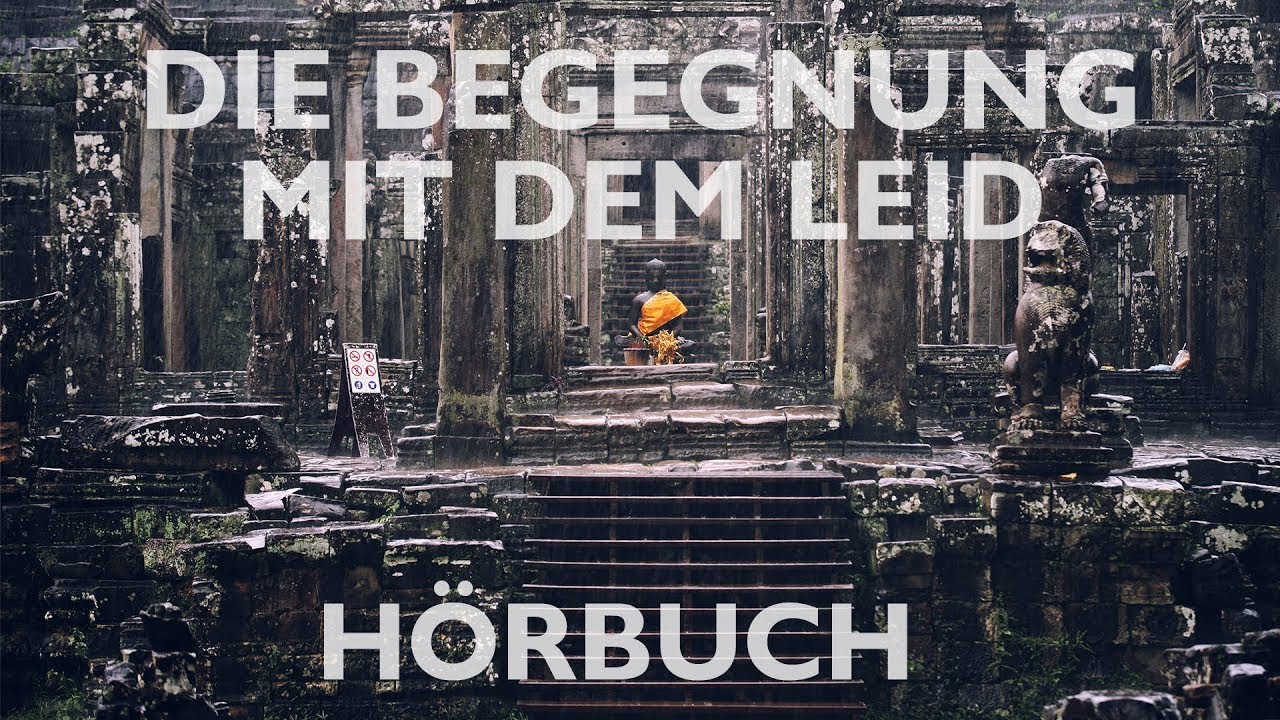 Die Begegnung mit dem Leid - Howard C. Cuttler, Dalai Lama (Hörbuch)