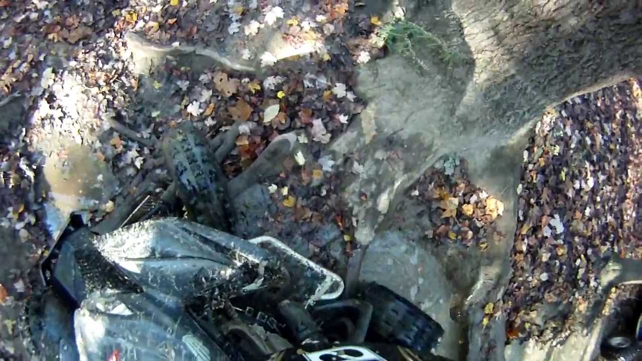 GBC XC Master Tire Vs. Tree Roots
