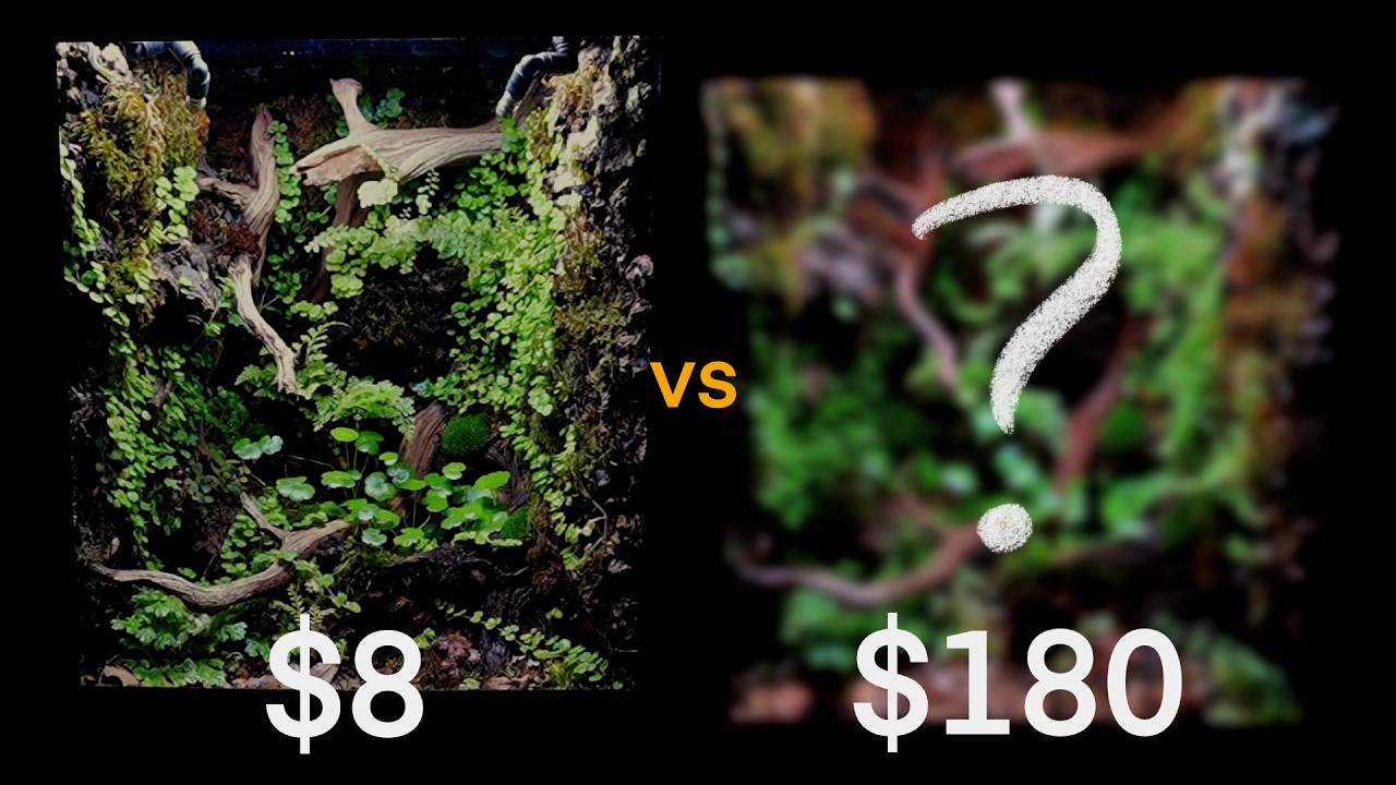 Cheap vs Expensive Vivarium Lights ($8&ndash;$180) | Which Is Best?