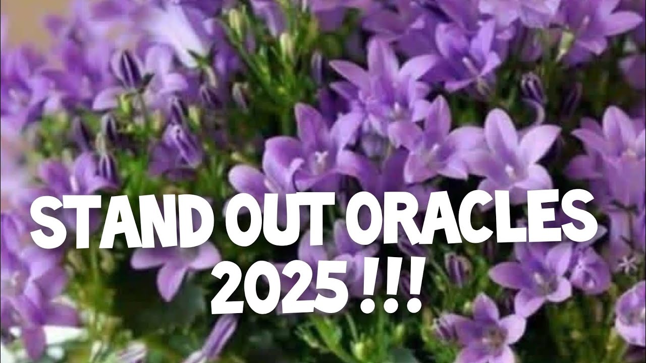#Обзор2025