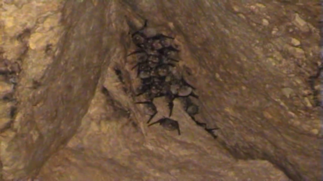 Cueva del Agua.  Cantoria - Almería - España