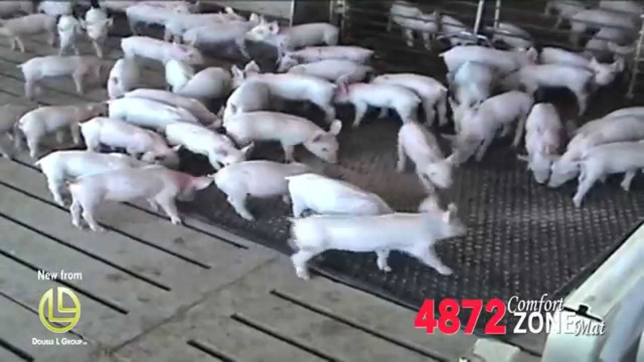 4872 Pig Mat with Handles