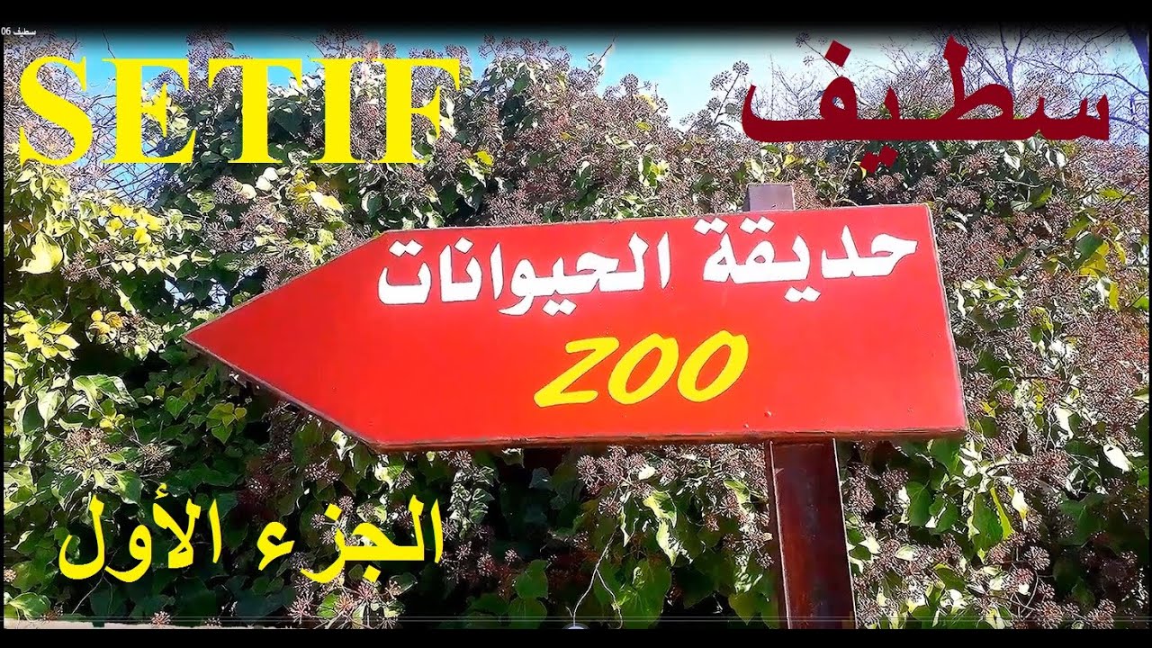 Setif zoo 06 سطيف
