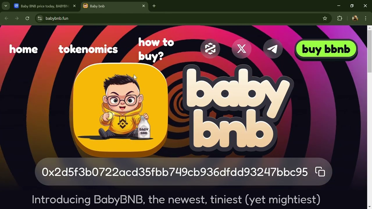 What is Baby BNB Token (BABYBNB) Coin | Review About BABYBNB Token