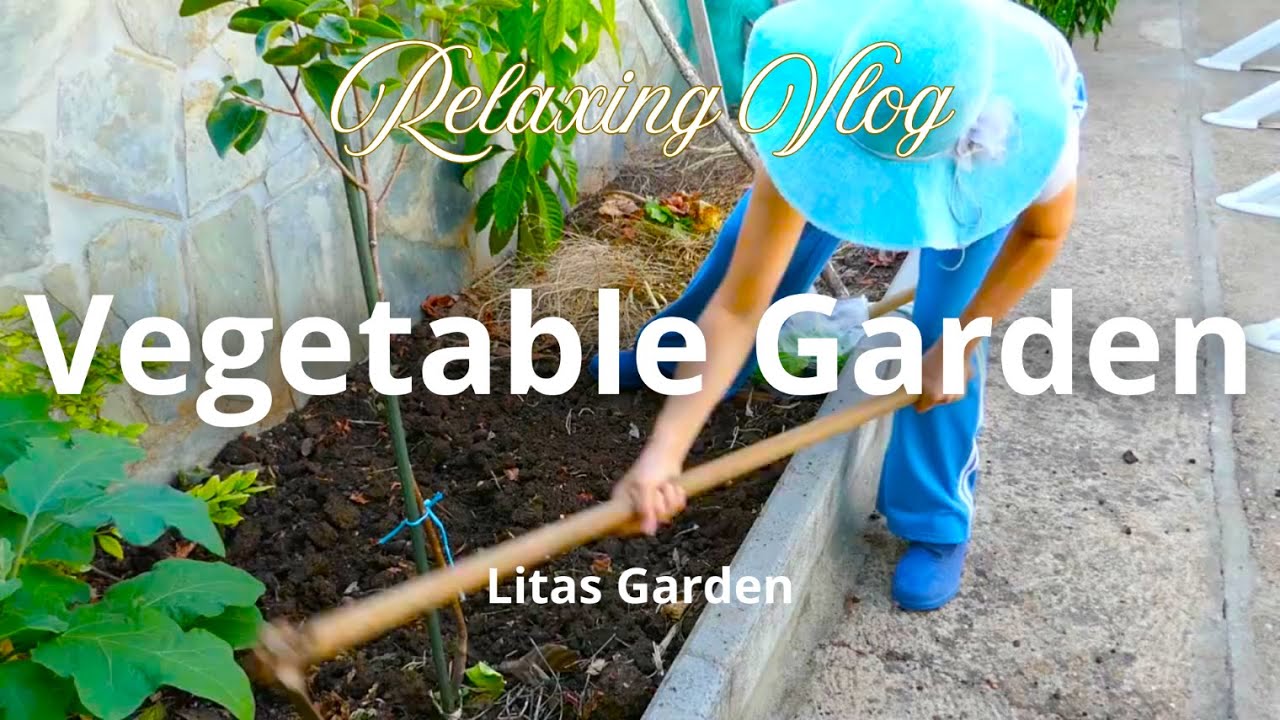 Kitchen Garden | Planting Lettuce, Eggplants Growing & Sowing Watercress🌱