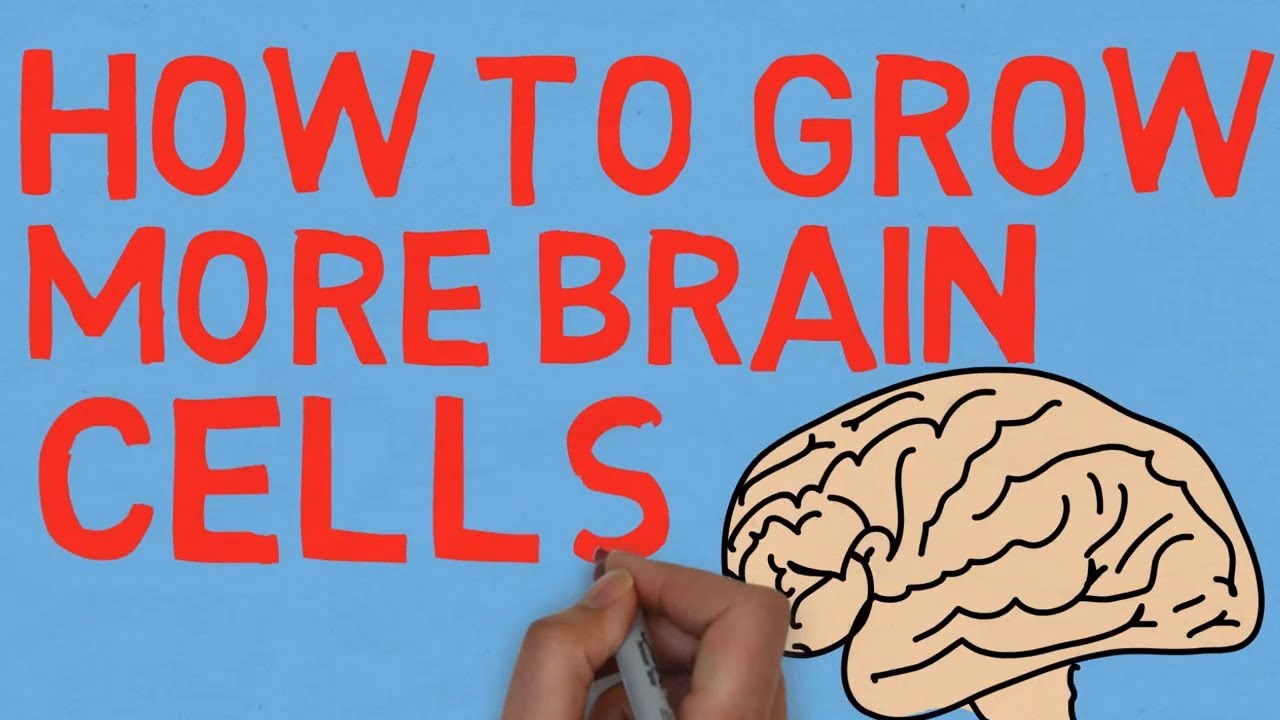 HOW TO GROW MORE BRAIN CELLS - The Neurogenesis Diet & Lifestyle by Brant Cortright