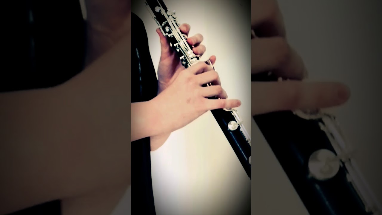 Careless Whisper - George Michael - Clarinet Cover