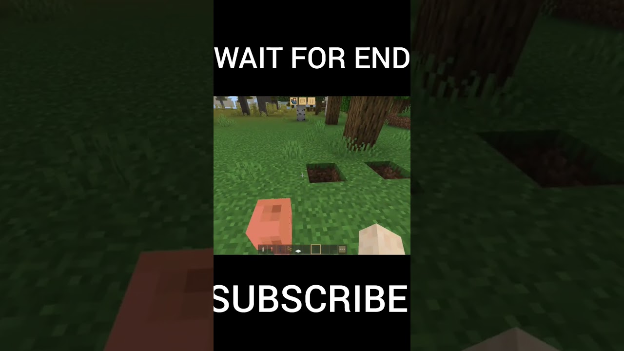 MINECRAFT LOGIC #shorts #klua GAMER