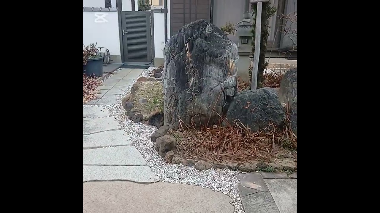 Japan 🇯🇵