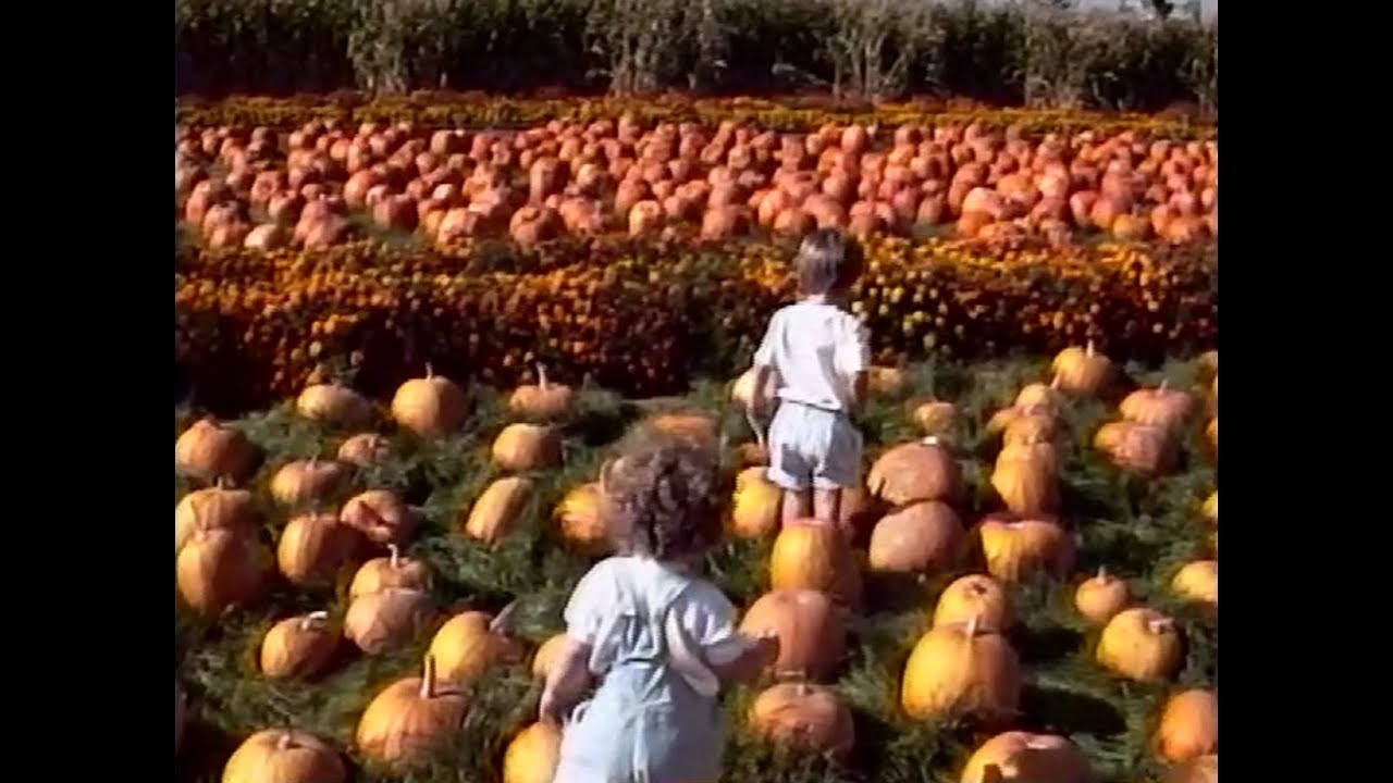 Family Day at the Morgan Hill Pumpkin Patch | October 1991 I Unedited Home Video