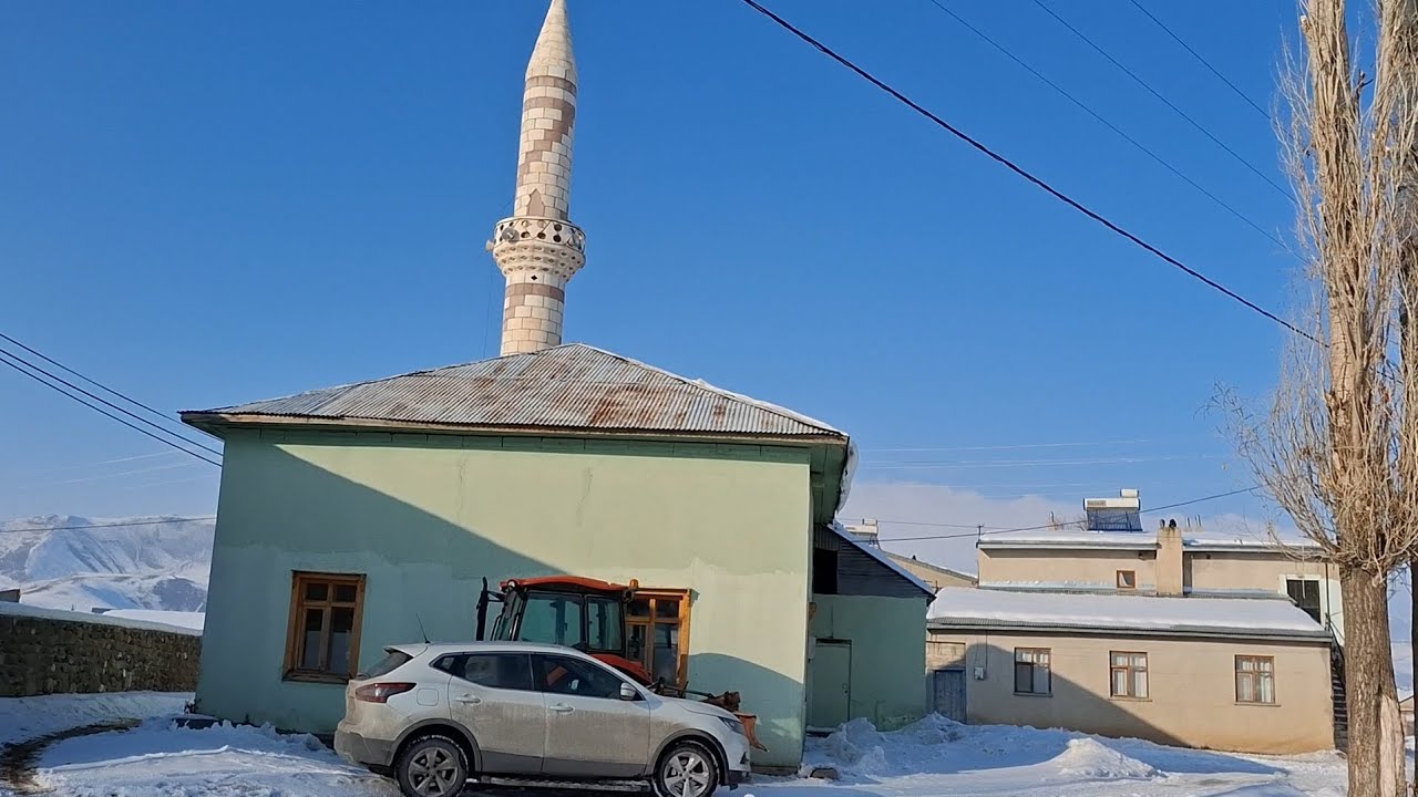 Kısa Köy Gezisi Yeni doğan Buzağı İkiz Buzağılar ve Ahırda Son Durum