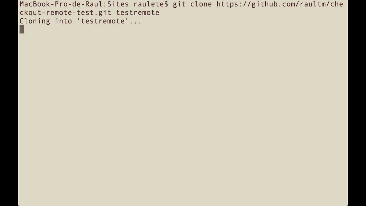 Git - How to Checkout to Remote Branch