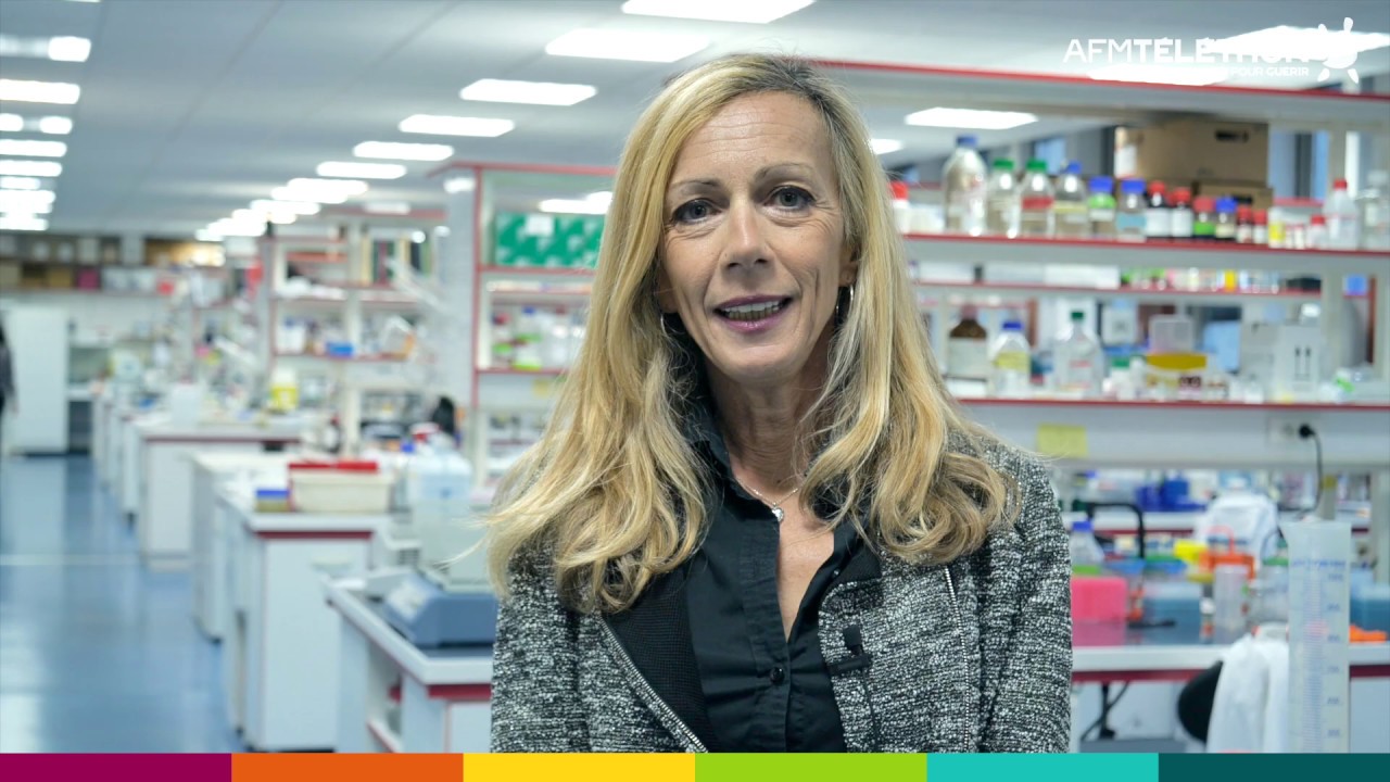 L’Institut de Myologie identifie une piste prometteuse pour prévenir la sarcopénie ! | AFM-Téléthon