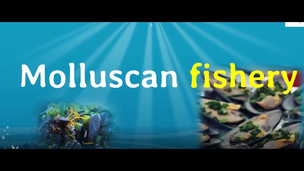 Molluscan fishery | Fishery science | Pearl Fisheries