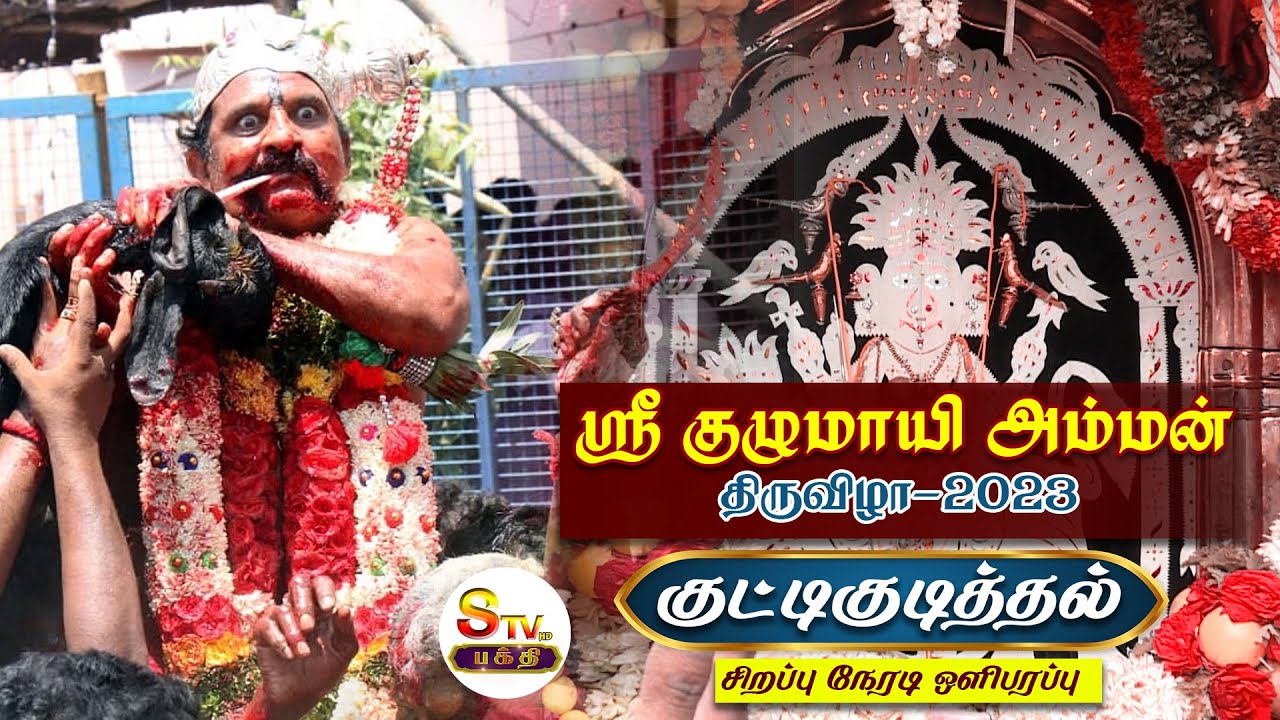 🔴LIVE: Kulumai Amman குழுமாயி அம்மன் திருவிழா குட்டிகுடித்தல் 2023