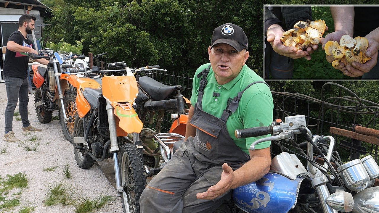 Beru šumske plodove, od zarade putuju svijetom