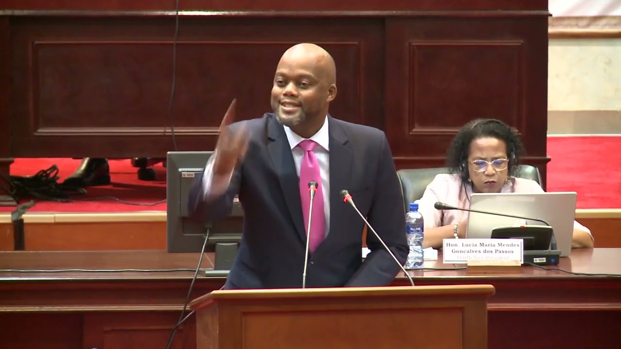 H.E Wamkele Mene - SG of AfCFTA Secretariat addresses PAP Plenary