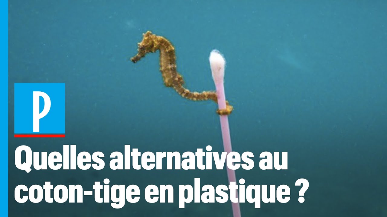 Interdiction du coton-tige en plastique : les alternatives pour le remplacer