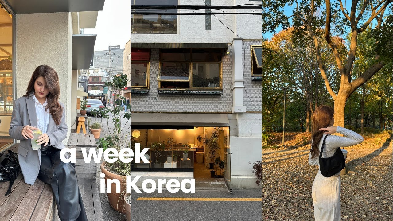 KORE VLOG: seoul ormanı, yağmurlu bir gün'de seoul, uijeongbu'da kuzu şiş deniyoruz