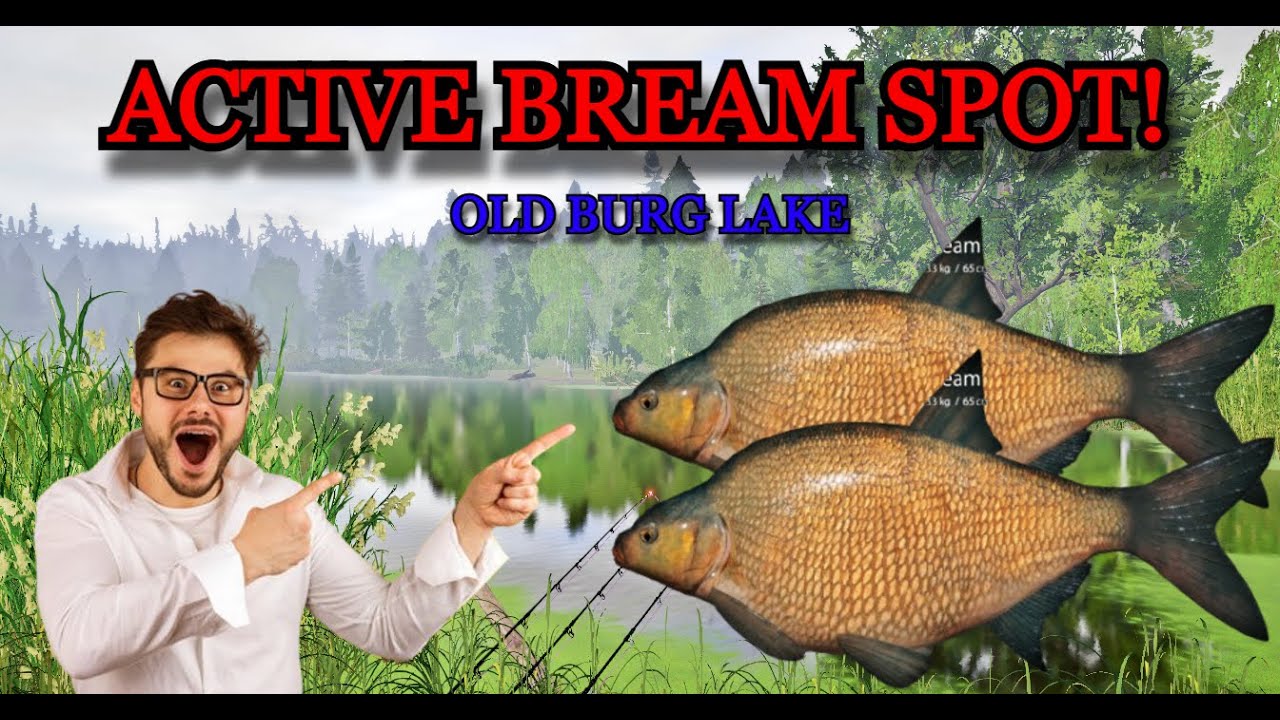 Russian Fishing 4 (RF4) ACTIVE BREAM SPOT ON OLD BURG LAKE  ( Special Groundbait)