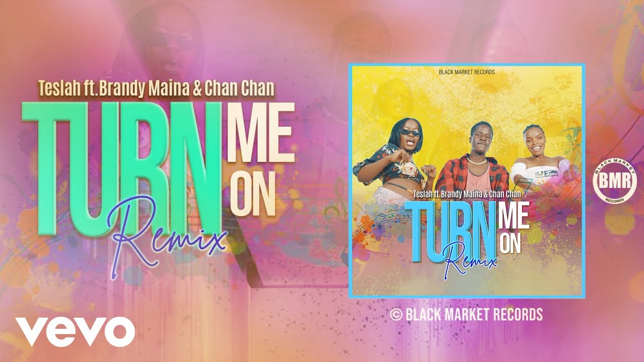 Teslah - Turn Me On Remix (Official Audio) ft. Brandy Maina, Chan Chan