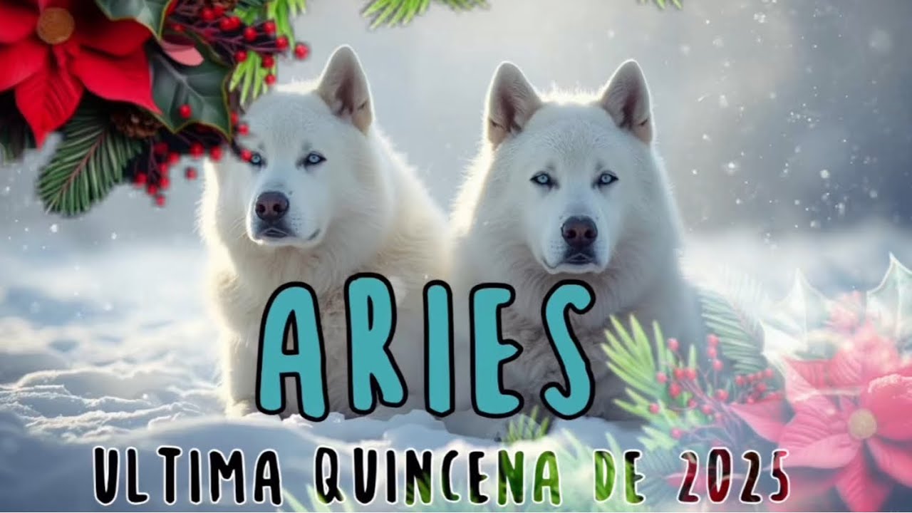 ARIES- ALGUIEN NECESITA TU PERDÓN🫵🏻AVISO Q LO CAMBIA TODO DE GOLPE😱😅ESTO SI ES UN AMOR INCONDICIONAL